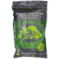 KOSHER CHOPPED PARSLEY IQF HERBAFROST